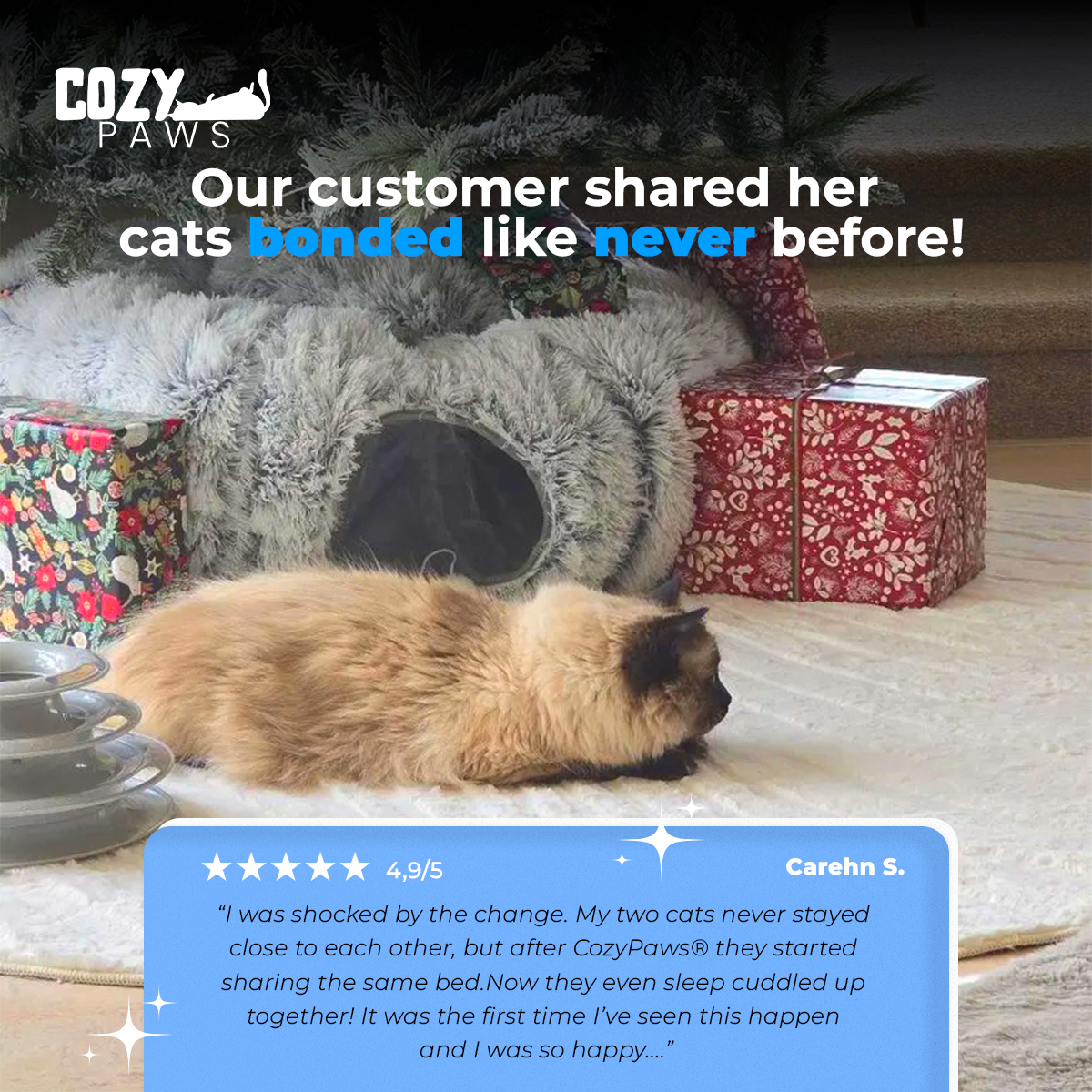 CozyPaws® + Gift Free